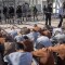 Palestinian Prisoner’s Society reports dozens of repression raids in Israeli prisons since October 7